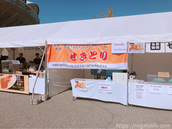 第13回親子ふれあいマラソン開催！自走可能なら参加できる珍しい大会