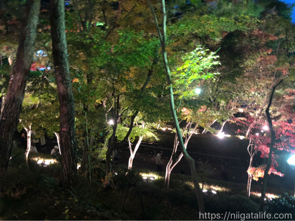 松雲山荘紅葉ライトアップを散策。柏崎の秋の演奏会とともに。