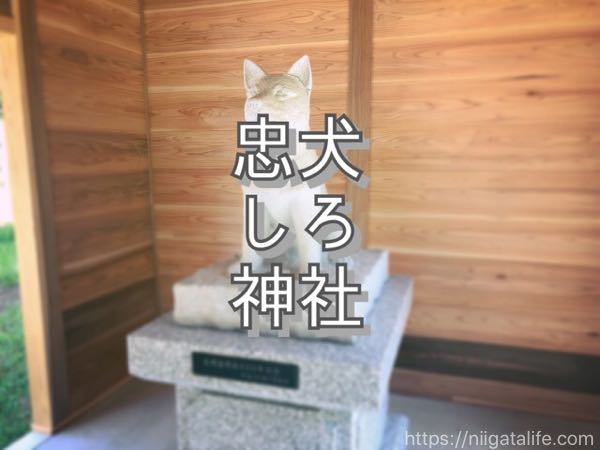 忠犬しろ神社