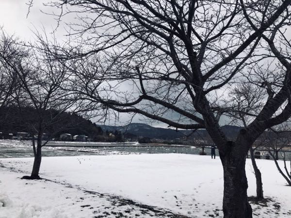 白鳥が飛来する西山「長嶺大池」へ！ロケーションすごい神社も発見