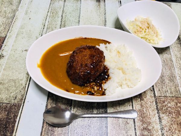 【限界レシピ】水で溶かすカレー