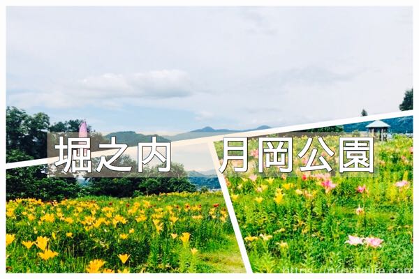 堀之内「月岡公園」のユリ祭り