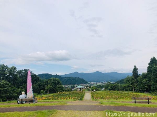 堀之内「月岡公園」のユリ祭り