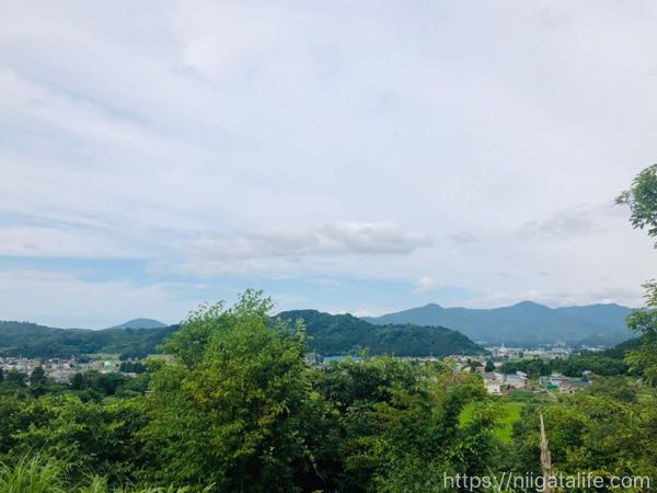 堀之内「月岡公園」のユリ祭り