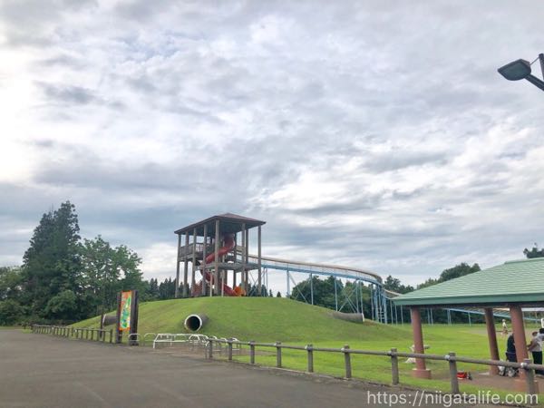 堀之内「月岡公園」のユリ祭り