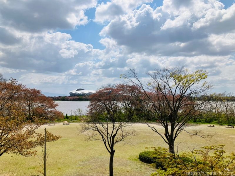 鳥屋野潟公園女池地区