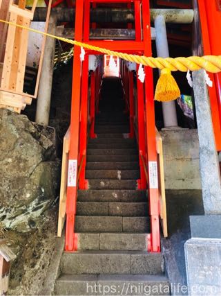 長岡の金運パワースポット「高龍神社」へ！