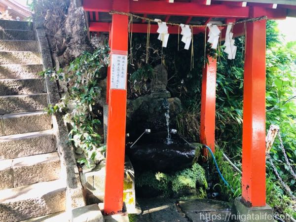 長岡の金運パワースポット「高龍神社」へ！