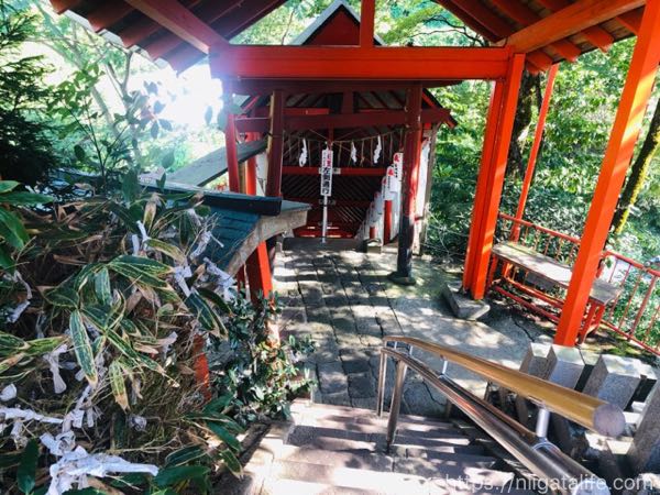 長岡の金運パワースポット「高龍神社」へ！