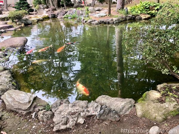 小千谷豪商の館「西脇邸」へ。建物の外観とライトアップ