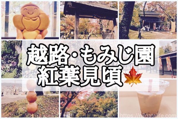 【見頃】もみじ園で紅葉満喫！新しい茶屋でほたる焼き！