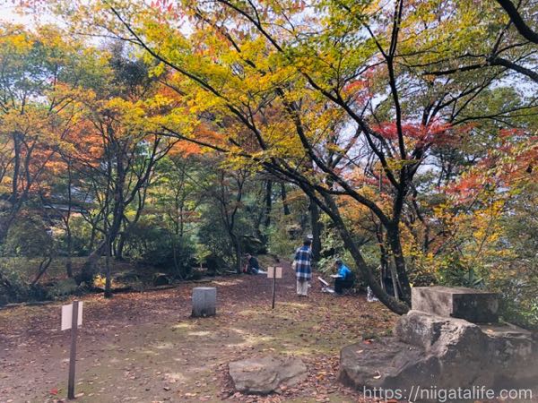 【見頃】もみじ園で紅葉満喫！新しい茶屋でほたる焼き！