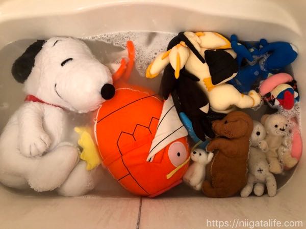 【ぬいぐるみの洗い方】ポケモン人形を洗濯してみた
