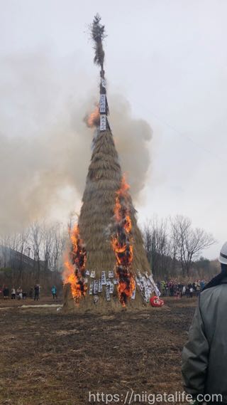 サイノカミ2020！小正月だからスルメを焼こう新潟県立歴史博物館