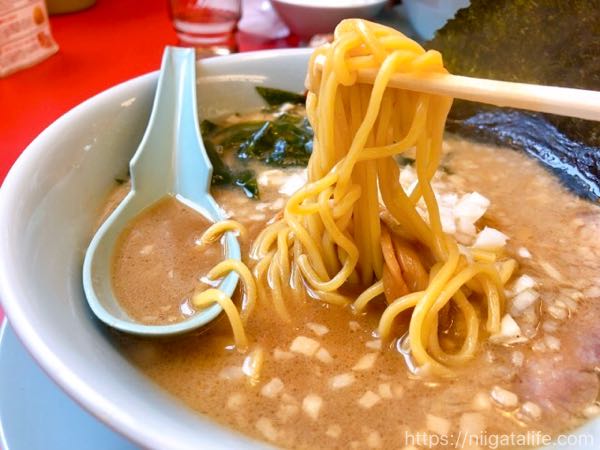 「ラーメン山岡家」長岡堺店の『プレミアム醤油とんこつ』食べてみた！