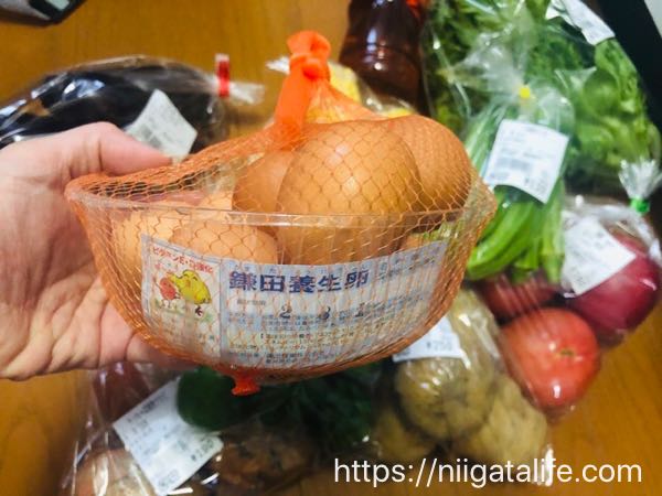 長岡なじらーて夏野菜どっさり買った！