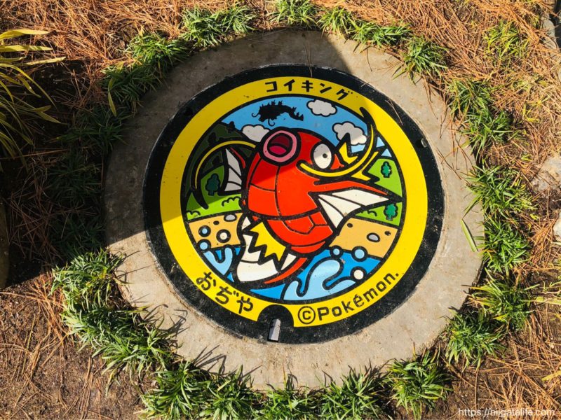 コイキング出現】小千谷市内のポケモンマンホール「ポケふた」4