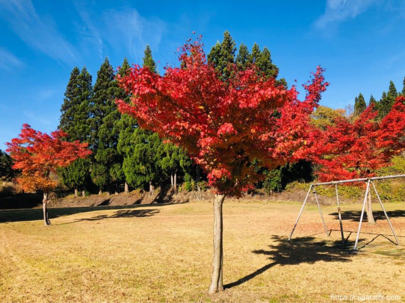 川口運動公園