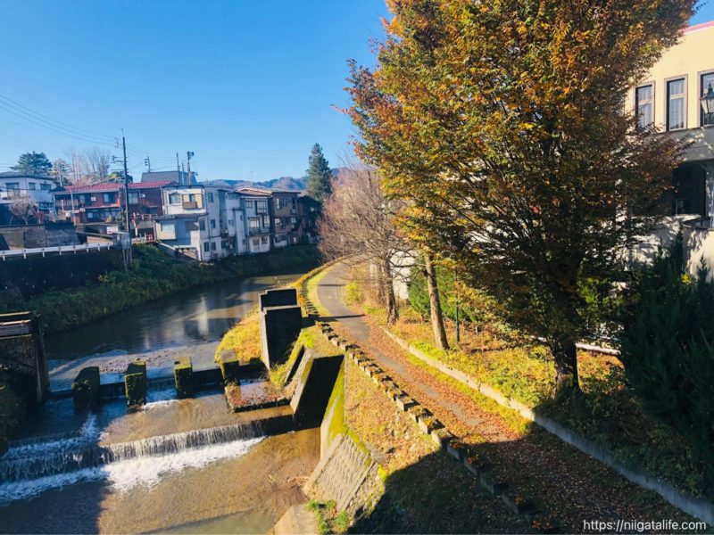 小千谷市内の街角写真 ニシキゴイがいっぱい