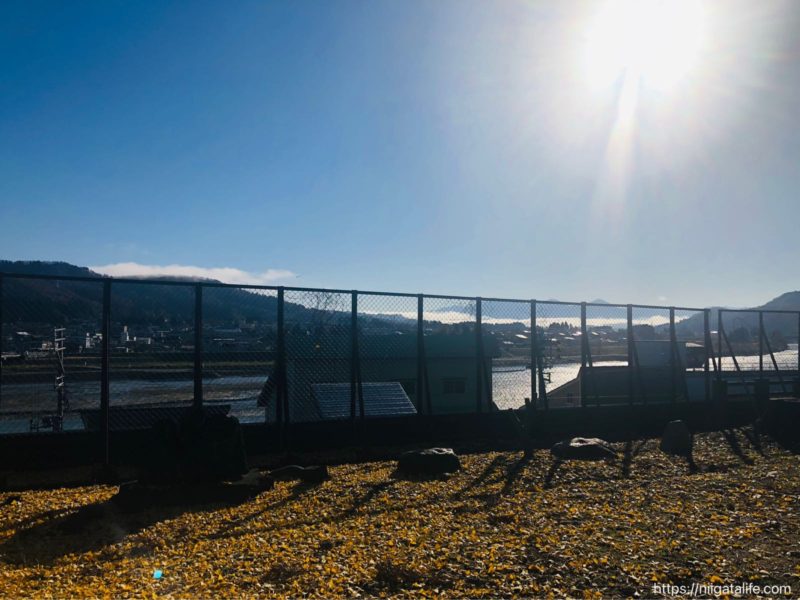 小千谷市内の街角写真 ニシキゴイがいっぱい