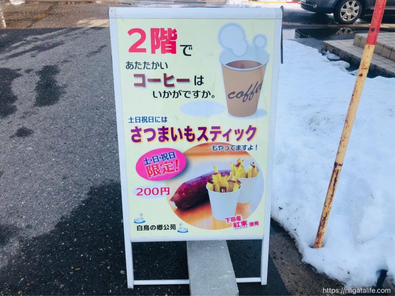 三条の白鳥の郷へ行ってみた