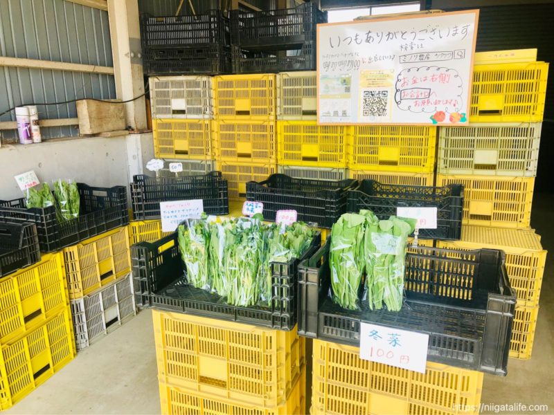 無人野菜直売所「ミノリ農園」