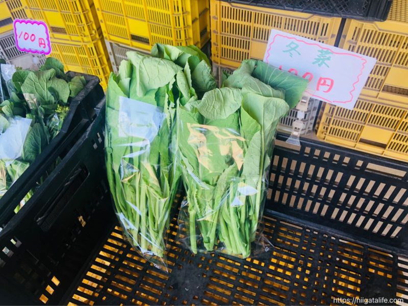 無人野菜直売所「ミノリ農園」