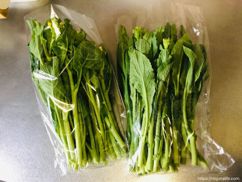無人野菜直売所「ミノリ農園」