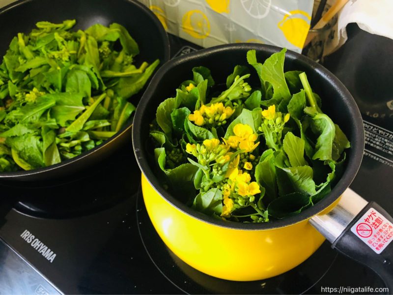 無人野菜直売所「ミノリ農園」