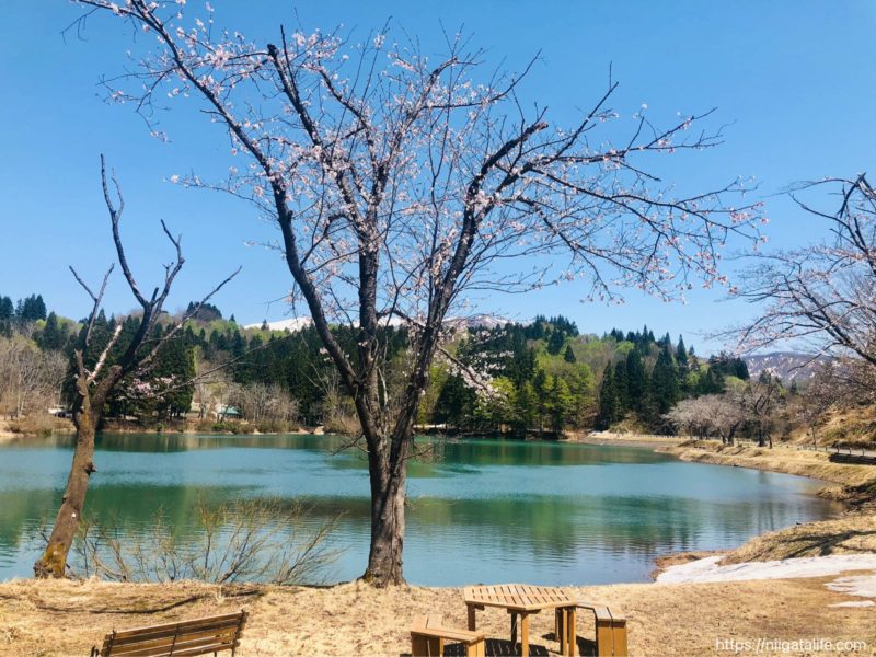 道の駅いりひろせ 湖上レストラン鏡ヶ池で美味しい山菜そばを食べました
