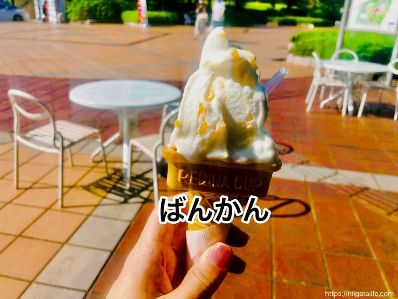 ジェラート雪鹿 