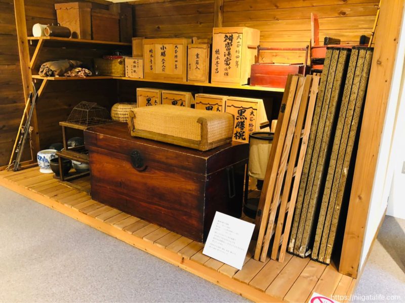 長岡｢トキみ〜て｣で初トキ観察！佐渡じゃなくても見れるんだ