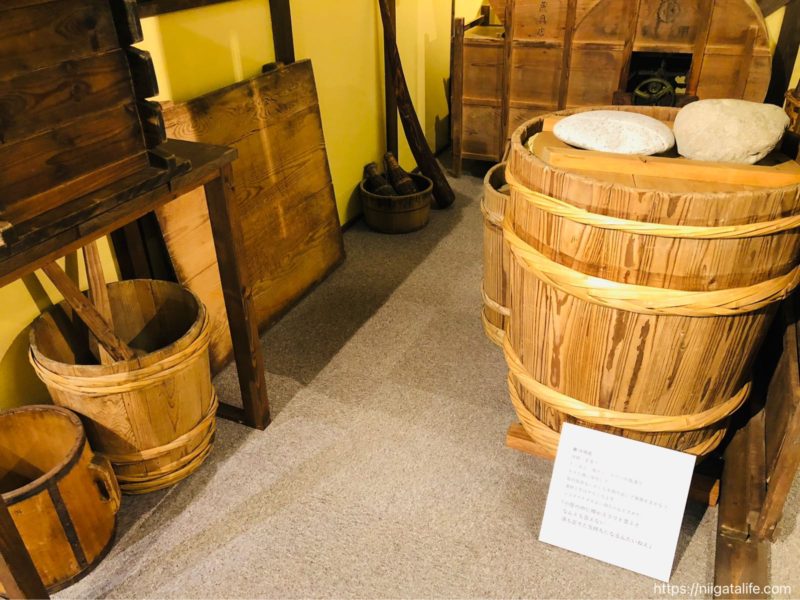 長岡｢トキみ〜て｣で初トキ観察！佐渡じゃなくても見れるんだ