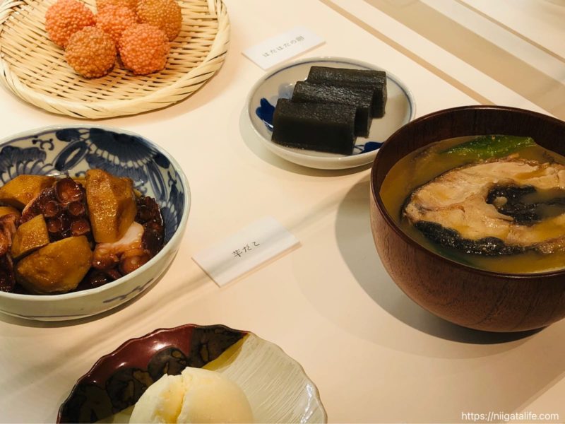 長岡｢トキみ〜て｣で初トキ観察！佐渡じゃなくても見れるんだ