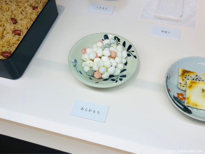 長岡｢トキみ〜て｣で初トキ観察！佐渡じゃなくても見れるんだ