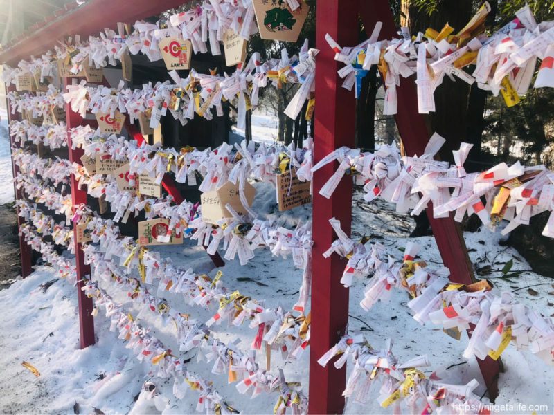長岡 蒼柴神社へ初詣！合格御守りを買ったら〇ットカットが