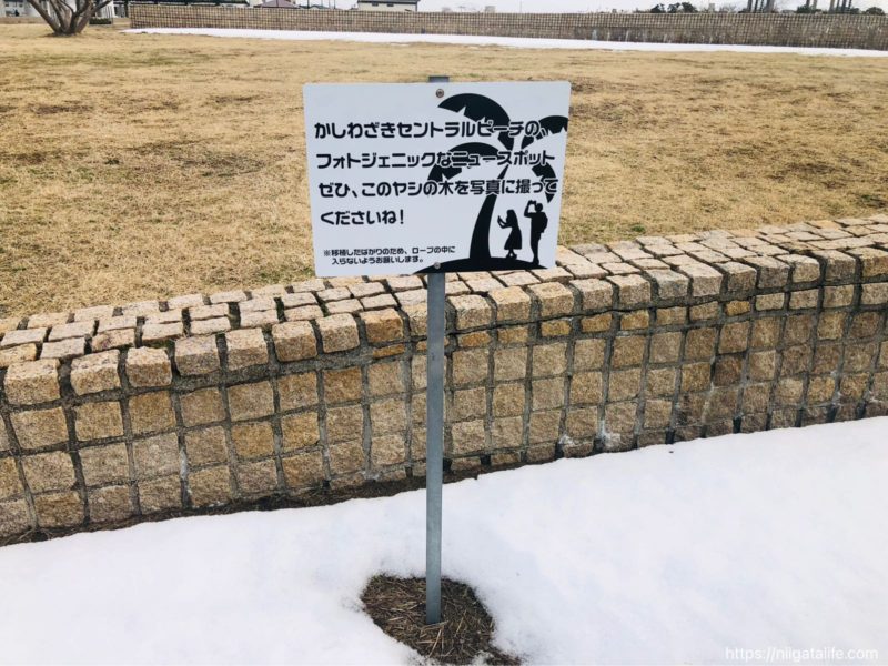 柏崎セントラルビーチ