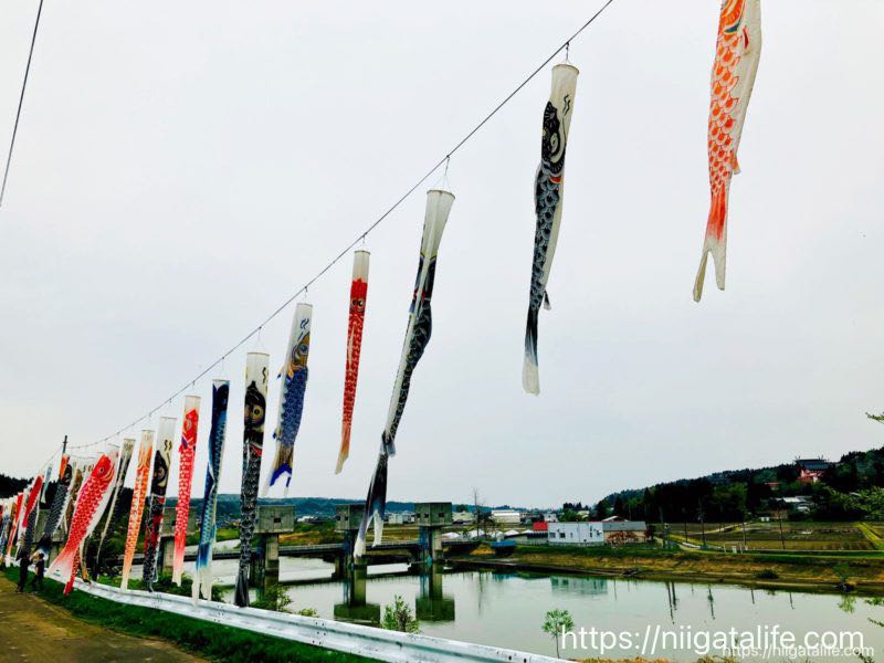 【新潟県】鯉のぼりが見れるお出かけスポットまとめ！