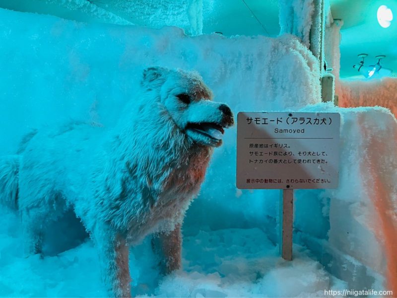 サントピアワールド