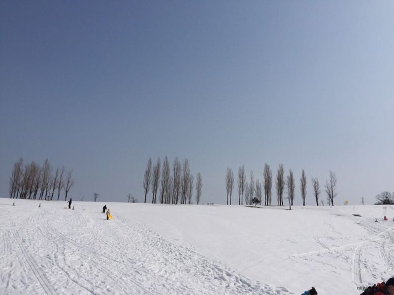 丘陵公園ウィンターシーズン