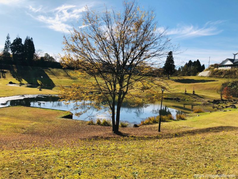 川口運動公園