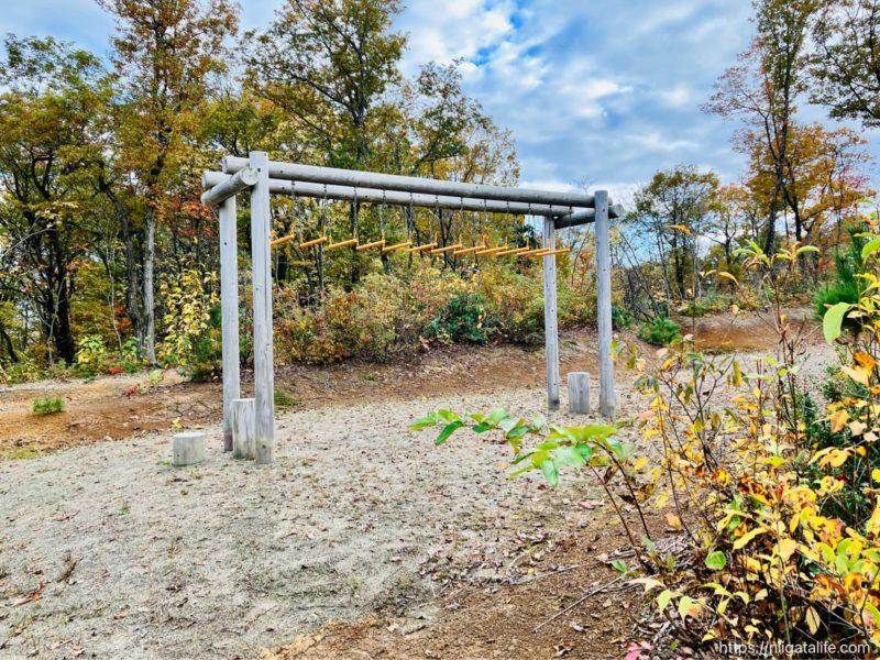 丘陵公園 里山フィールドのアスレチック遊具