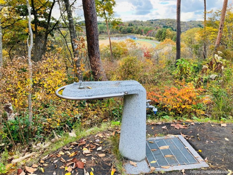 丘陵公園 里山フィールドのアスレチック遊具