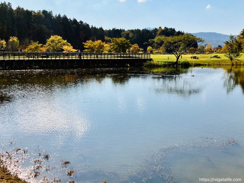 柏崎夢の森公園 里山ᴄᴀғᴇ́ i'm home