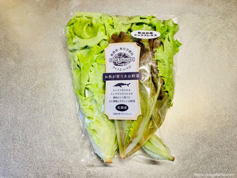 お魚が育てた長岡産の野菜！FISH VEGGIESフィッシュベジを食べてみまし