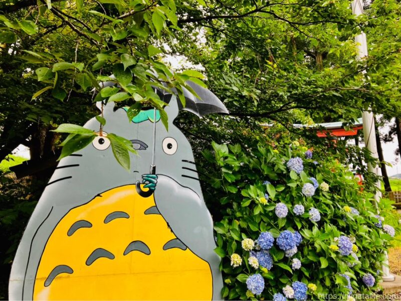 トトロのいる神社へ！雨に濡れた紫陽花とバス停とメイちゃんも