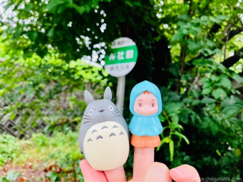 トトロのいる神社へ！雨に濡れた紫陽花とバス停とメイちゃんも