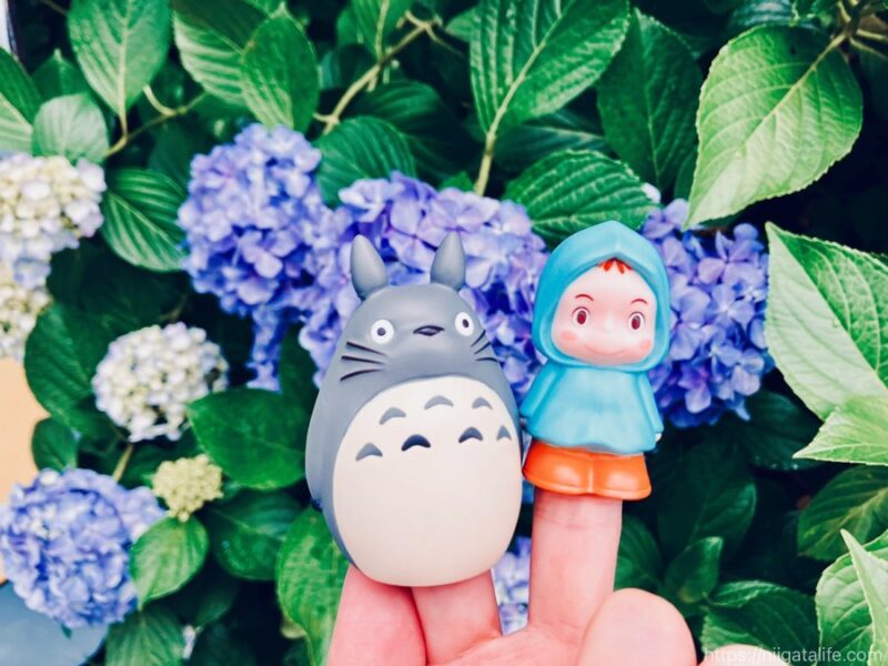 トトロのいる神社へ！雨に濡れた紫陽花とバス停とメイちゃんも