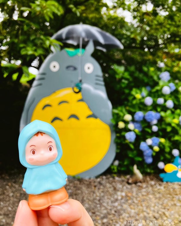 トトロのいる神社へ！雨に濡れた紫陽花とバス停とメイちゃんも