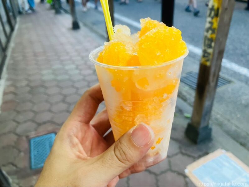 栃尾のうま市で夕涼み